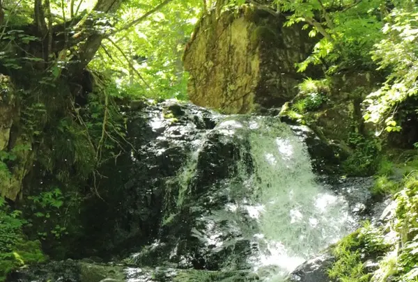 県立自然公園宇津江四十八滝の写真・動画_image_244578