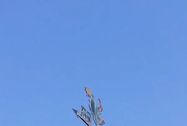 志摩地中海村の写真・動画_image_244662