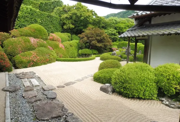 天柱山 頼久寺の写真・動画_image_244837