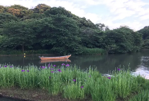 三溪園の写真・動画_image_244968