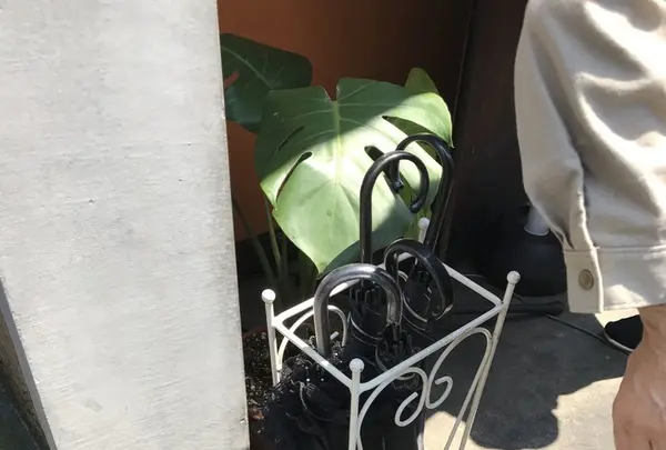 キッチン ハセガワの写真・動画_image_245531