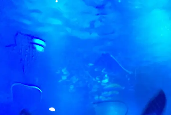 のとじま水族館　の写真・動画_image_245553