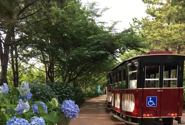 横浜・八景島シーパラダイスの写真・動画_image_245846