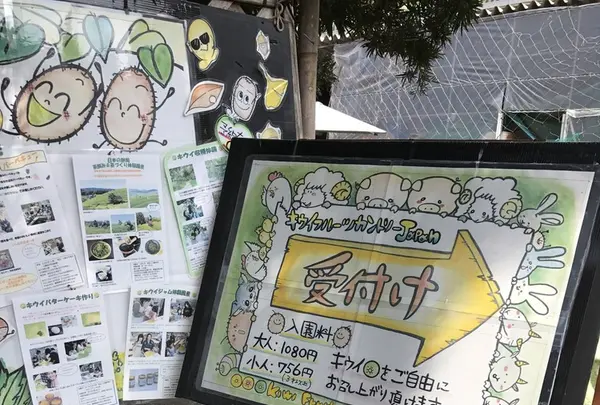 キウイフルーツ・カントリーＪＡＰＡＮの写真・動画_image_246174