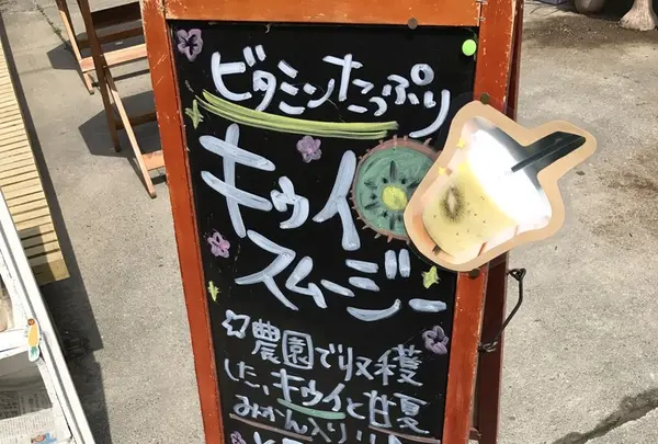 キウイフルーツ・カントリーＪＡＰＡＮの写真・動画_image_246176