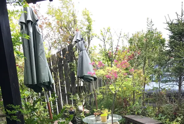 みすとらるの写真・動画_image_246183