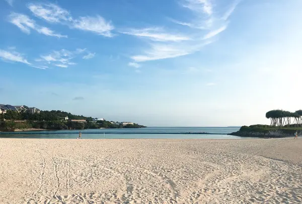 エメラルドビーチの写真・動画_image_246230