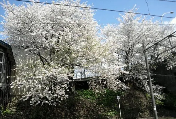 南小樽駅