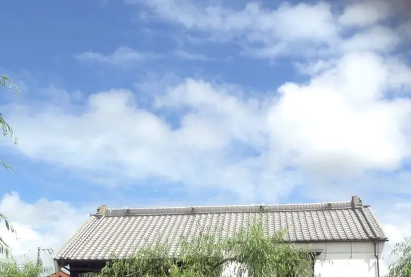 佐原の町並みの写真・動画_image_247722