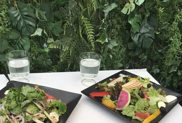 ジンジャーガーデンアオヤマの写真・動画_image_247801