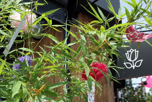 エッセンス カフェ （essence cafe）の写真・動画_image_247949