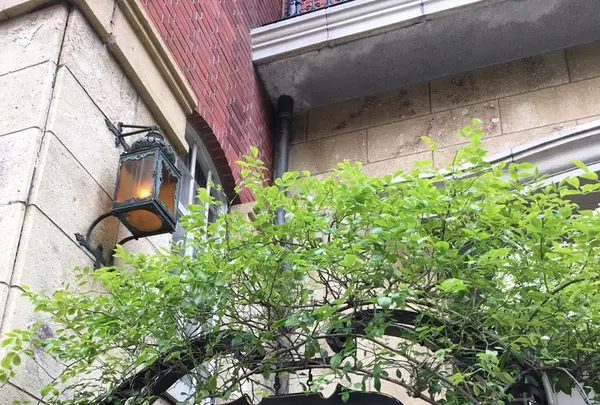 クレッセントの写真・動画_image_248224