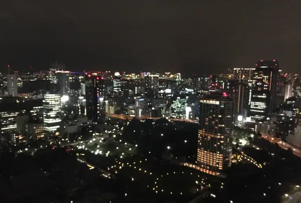 東京タワーの写真・動画_image_248382