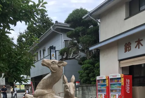 鹿島神宮の写真・動画_image_248553