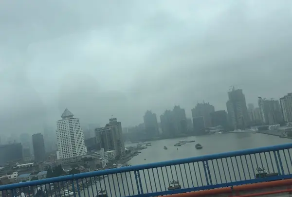 上海の写真・動画_image_248598