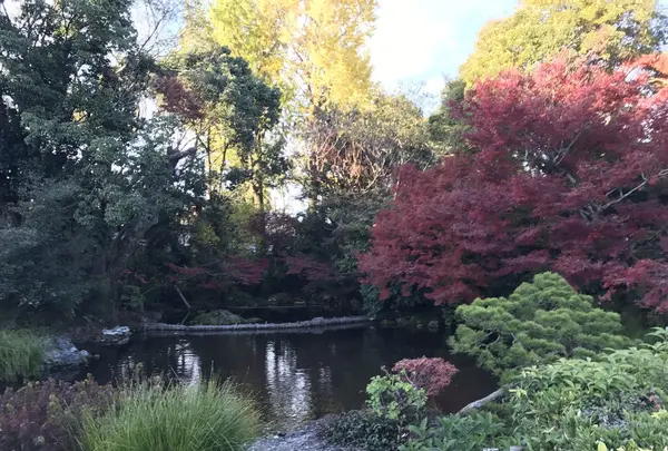 水前寺成趣園の写真・動画_image_249052