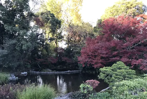水前寺成趣園の写真・動画_image_249053