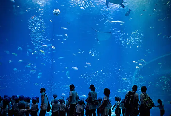 アクアワールド茨城県大洗水族館
