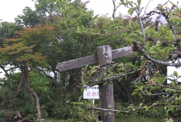 御在所岳の写真・動画_image_249373