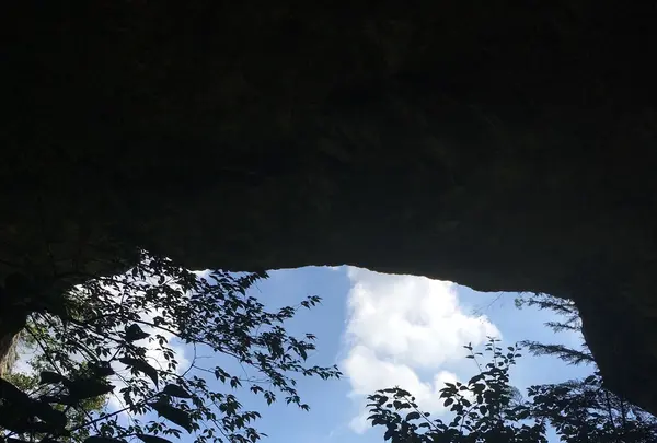 乳岩峡の写真・動画_image_249633
