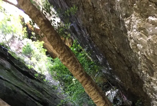 乳岩峡の写真・動画_image_249637