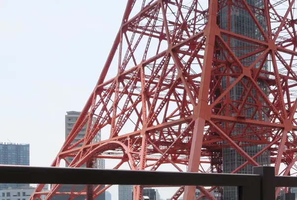 ワカヌイ グリル ダイニング バー東京の写真・動画_image_249699