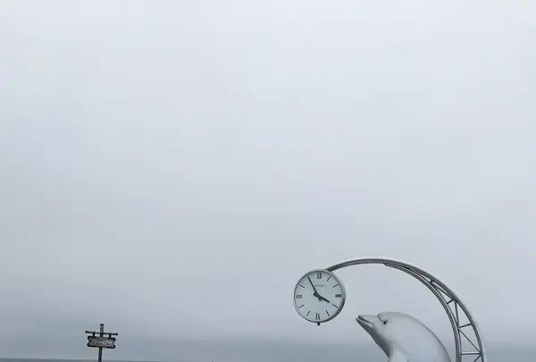 利尻島の写真・動画_image_249910