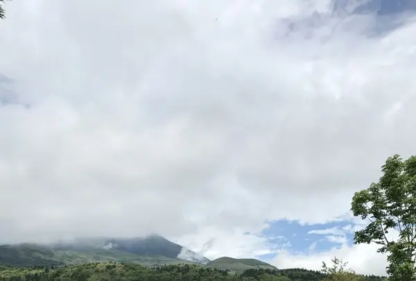 利尻島の写真・動画_image_249914
