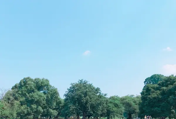 新宿御苑の写真・動画_image_250189