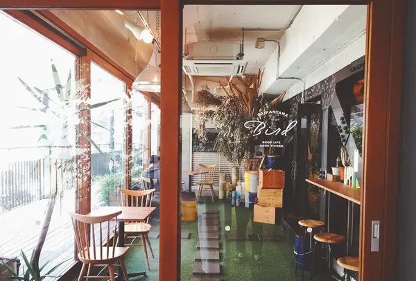 Bird 代官山（バード）の写真・動画_image_250720