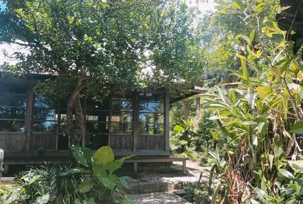 しむじょうの写真・動画_image_251420