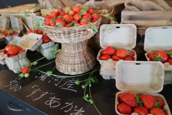 メイマルシェの写真・動画_image_251732