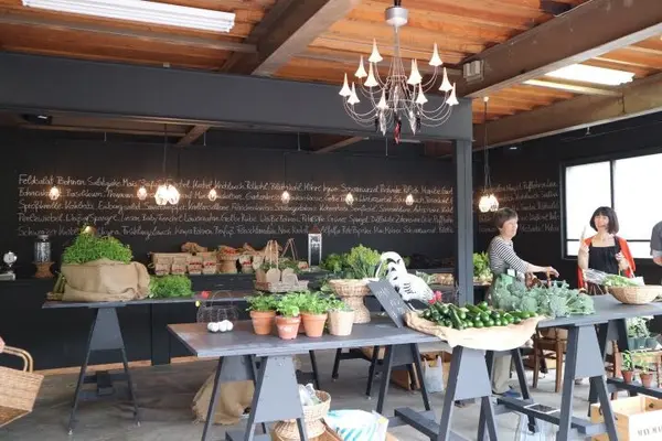 メイマルシェの写真・動画_image_251733