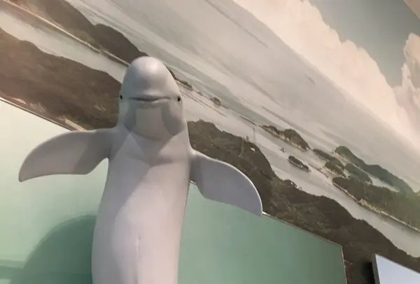 MieMu 三重県総合博物館の写真・動画_image_251749