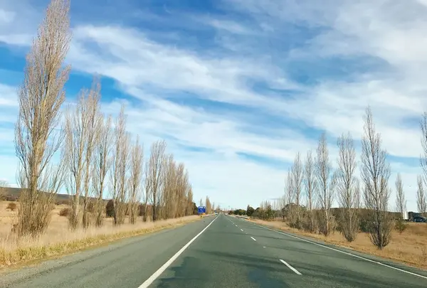 キャンベラの写真・動画_image_251924