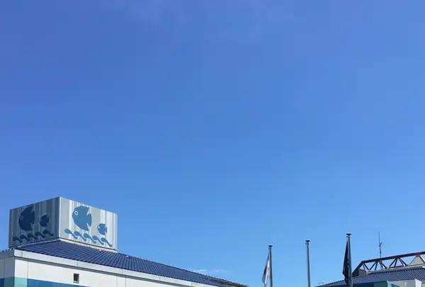 碧南市青少年海の科学館・碧南海浜水族館の写真・動画_image_252085