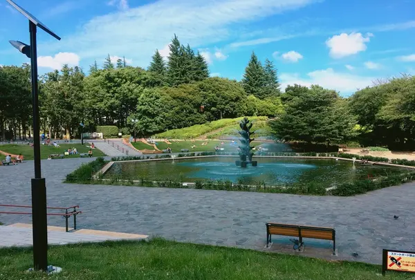 世田谷公園の写真・動画_image_252137