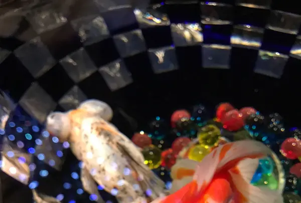 コレド室町1の写真・動画_image_252247