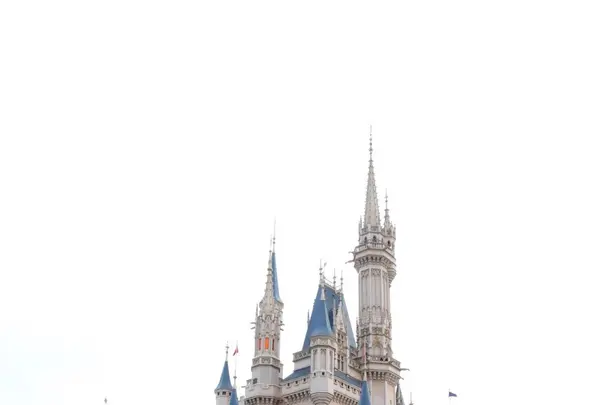 東京ディズニーランドの写真・動画_image_253236