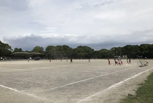 大井ふ頭海浜公園の写真・動画_image_253423