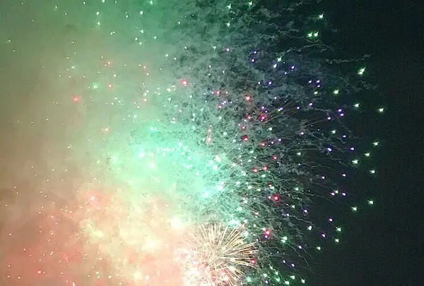 隅田川花火大会 第2会場の写真・動画_image_253616