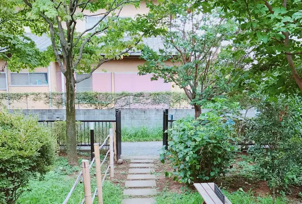 cafe RURIの写真・動画_image_253786