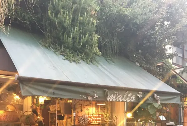 malto（マルト）の写真・動画_image_253964