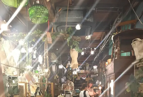 malto（マルト）の写真・動画_image_253965