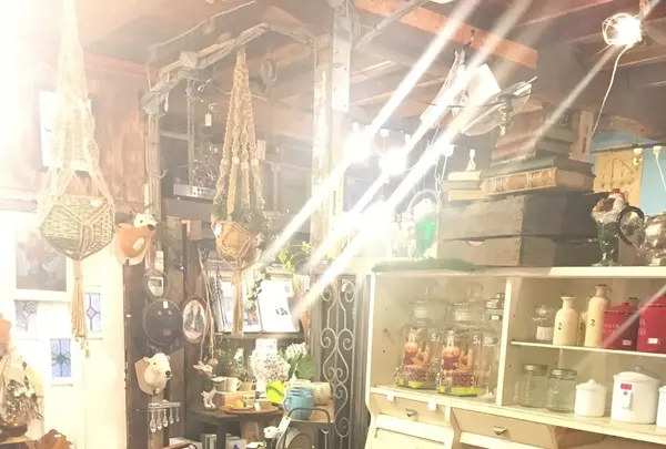 malto（マルト）の写真・動画_image_253966