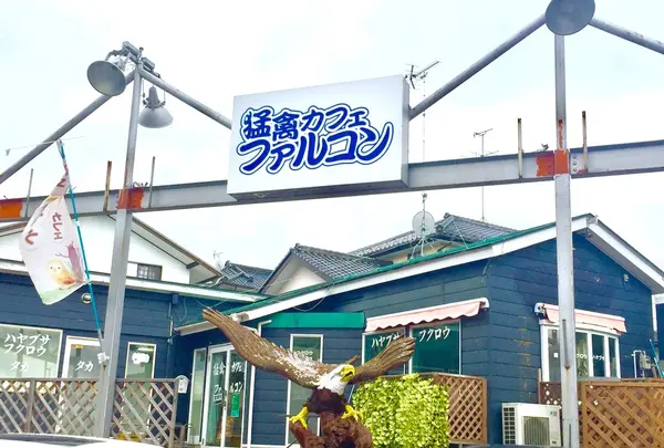 猛禽カフェ ファルコンの写真・動画_image_254188