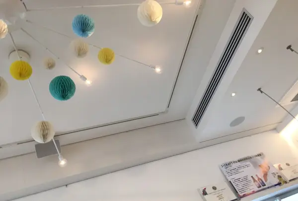 hanamiの写真・動画_image_254291