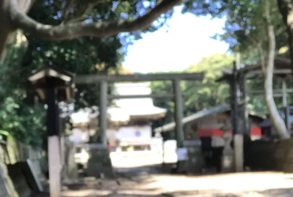 酒列磯前神社の写真・動画_image_254434