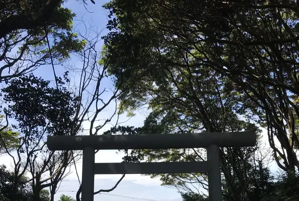 酒列磯前神社の写真・動画_image_254435