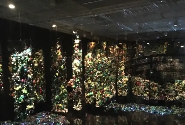 ポーラ ミュージアム アネックスの写真・動画_image_254451